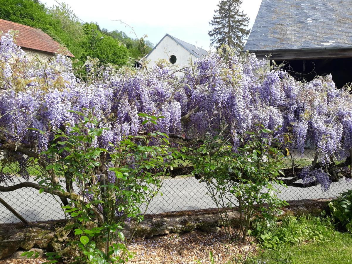 Village De Vie Saint-Vaury Εξωτερικό φωτογραφία